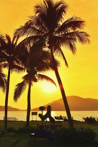 Palm trees on beach at sunset