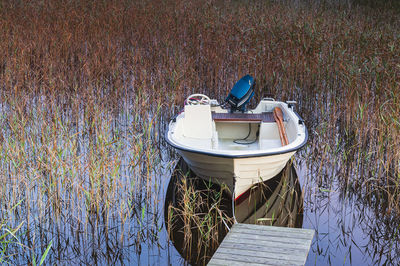 Rowing boat surrounded by reeds