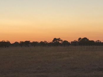 Scenic view of field against clear sky during sunset