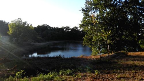 Scenic view of lake in forest against sky