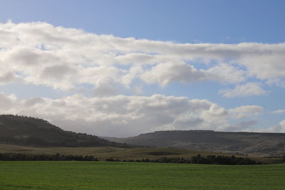 Scenic view of field against sky