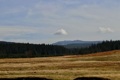 Scenic view of field against sky