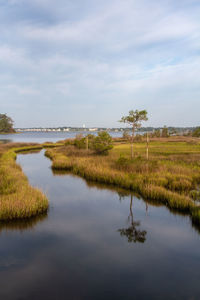 Scenic view of marsh against sky croatan national, outer banks north carolina 