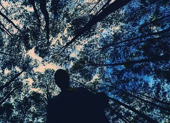 Low angle view of silhouette man standing by tree in forest