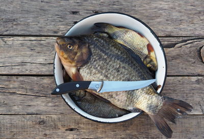 Freshly caught golden carp in a kitchen platter is ready to be scaled.russian river fish .