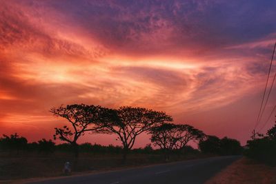 Silhouette trees by road against sky during sunset