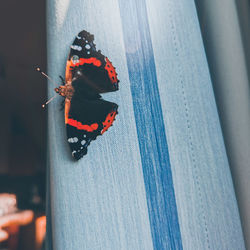 Close-up of butterfly on leaf