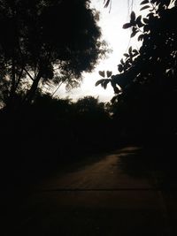 Silhouette trees against sky