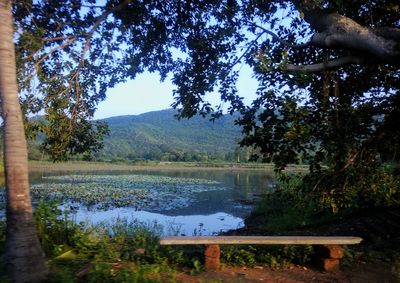 Scenic view of lake in forest against sky