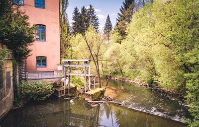 Scenic view of lake by trees and plants