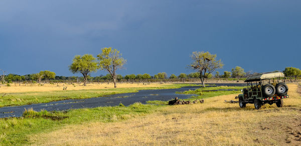 Scenic view of agricultural field against sky