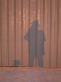 Close-up of tree stump