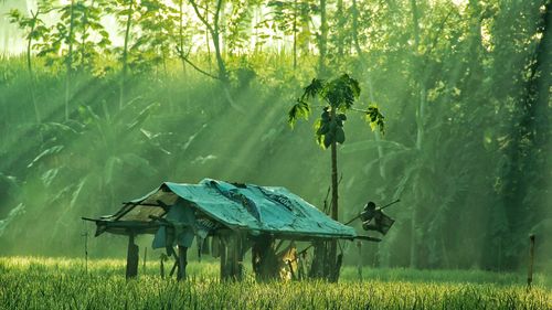 Scenic view of farm