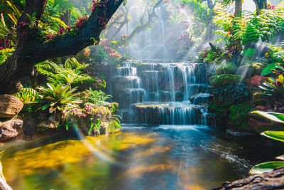 Scenic view of waterfall in forest