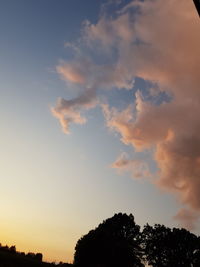 Low angle view of silhouette trees against sky during sunset