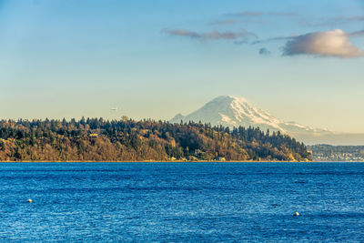 A view of a point with trees and mount rainier in burien, washington.