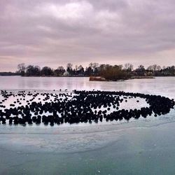 Scenic view of lake against cloudy sky