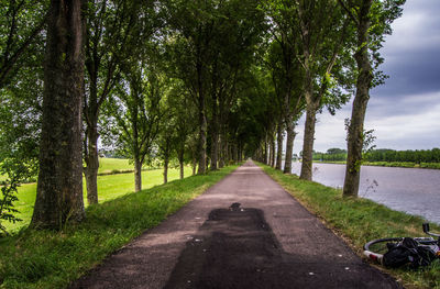 Road amidst trees against sky