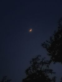 Low angle view of silhouette trees against clear sky at night