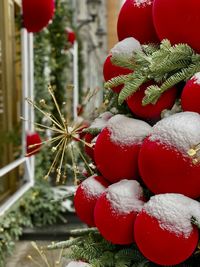 Close-up of christmas tree