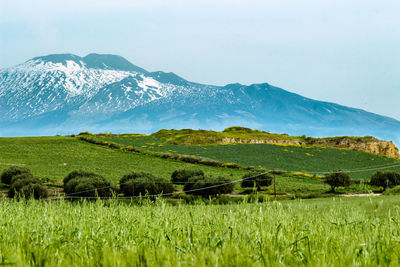 Scenic view of landscape by mountains against sky