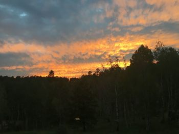 Silhouette trees against sky during sunset