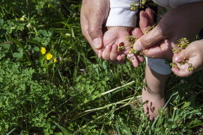 Cropped image of parent and baby on field