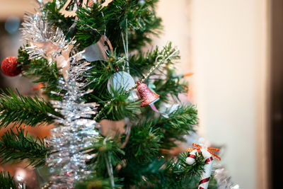 Close-up of christmas tree