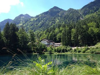 Scenic view of lake by trees against sky