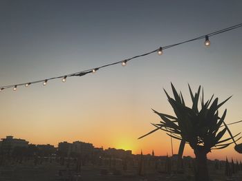 Silhouette plants against clear sky at sunset