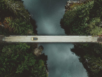 High angle view of plants by river