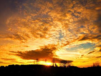 Silhouette trees against sky during sunset