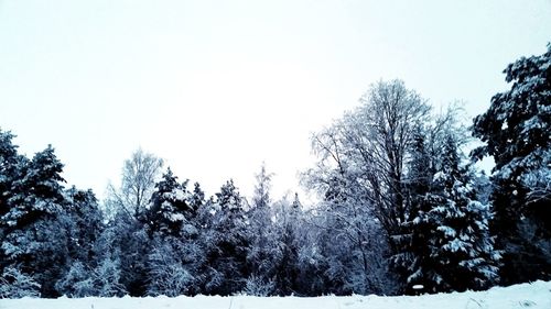 Trees on landscape against clear sky