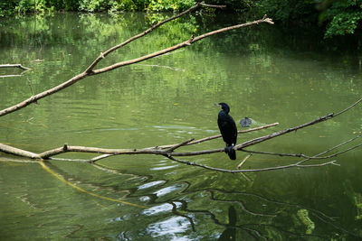 View of a young woman in a lake