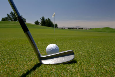 Close-up of golf club and ball