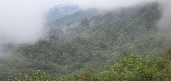 Scenic view of landscape during foggy weather