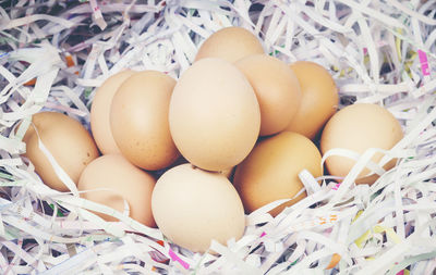 High angle view of eggs in container