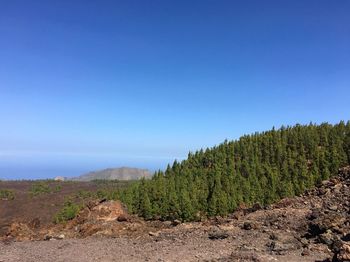 Scenic view of landscape against clear sky