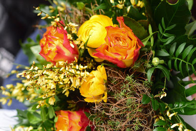 Close-up of yellow flowers