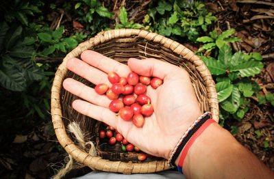 High angle view of woman hand holding basket