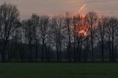 Bare trees on field against sky during sunset