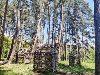 Wooden hut in forest