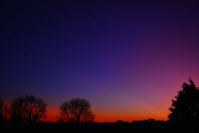 Silhouette trees against clear sky at night