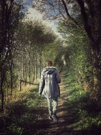 Rear view of man walking in forest