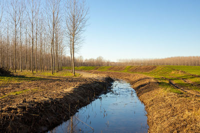 Scenic view of river against clear sky