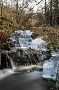 Scenic view of waterfall in forest