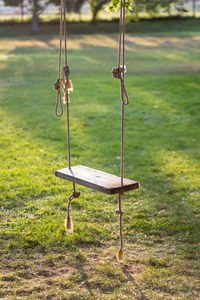 Empty rope swing in early morning light