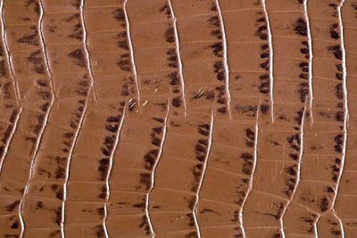 Full frame shot of a desert