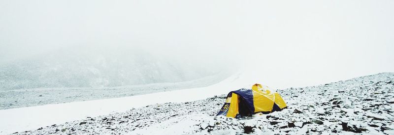 Snow covered landscape