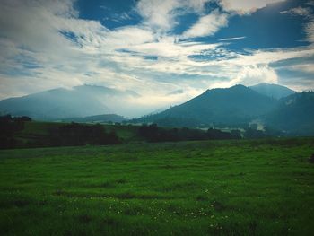 Scenic view of landscape against sky